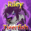 RileyTigerfish